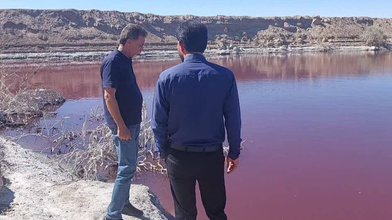 رودخانه ارغوانی، توجه گردشگران خارجی را جلب کرد
