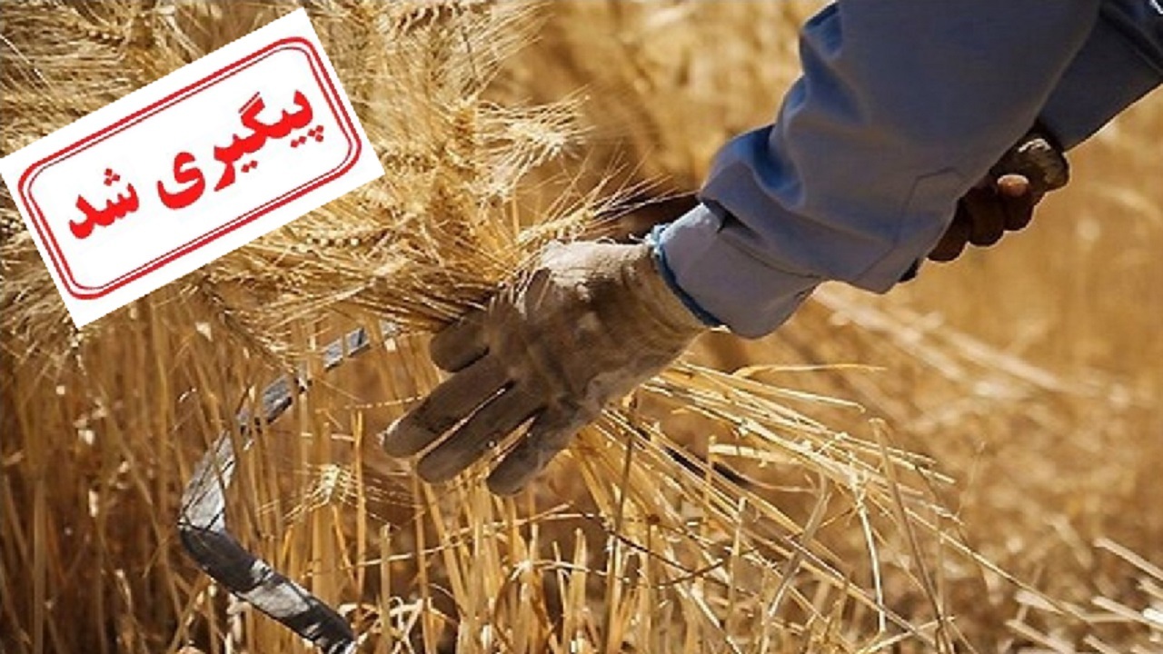 پرداخت مطالبات گندمکاران پیگیری شد