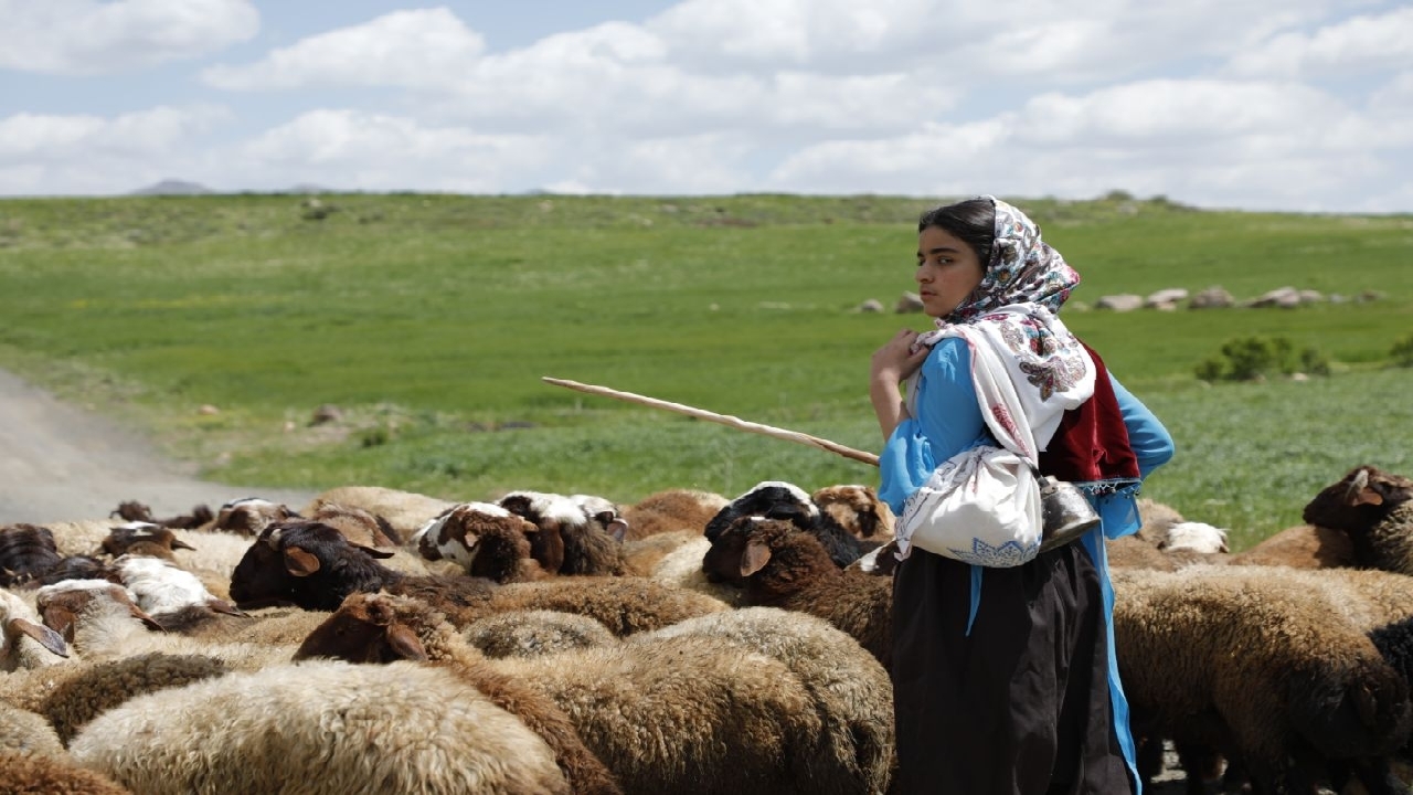 «دشت می‌خواند» از یک جشنواره ایتالیایی جایزه گرفت