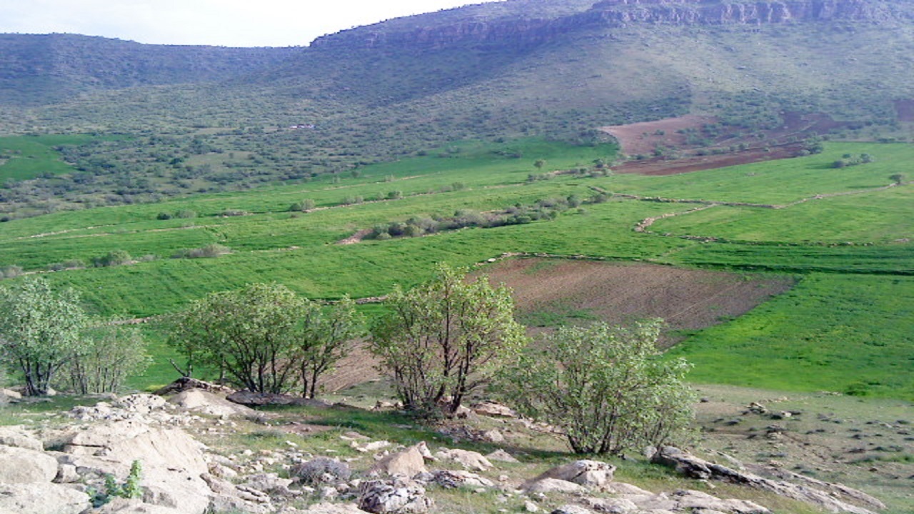گم‌شدن کودک چهار ساله در کوهدشت