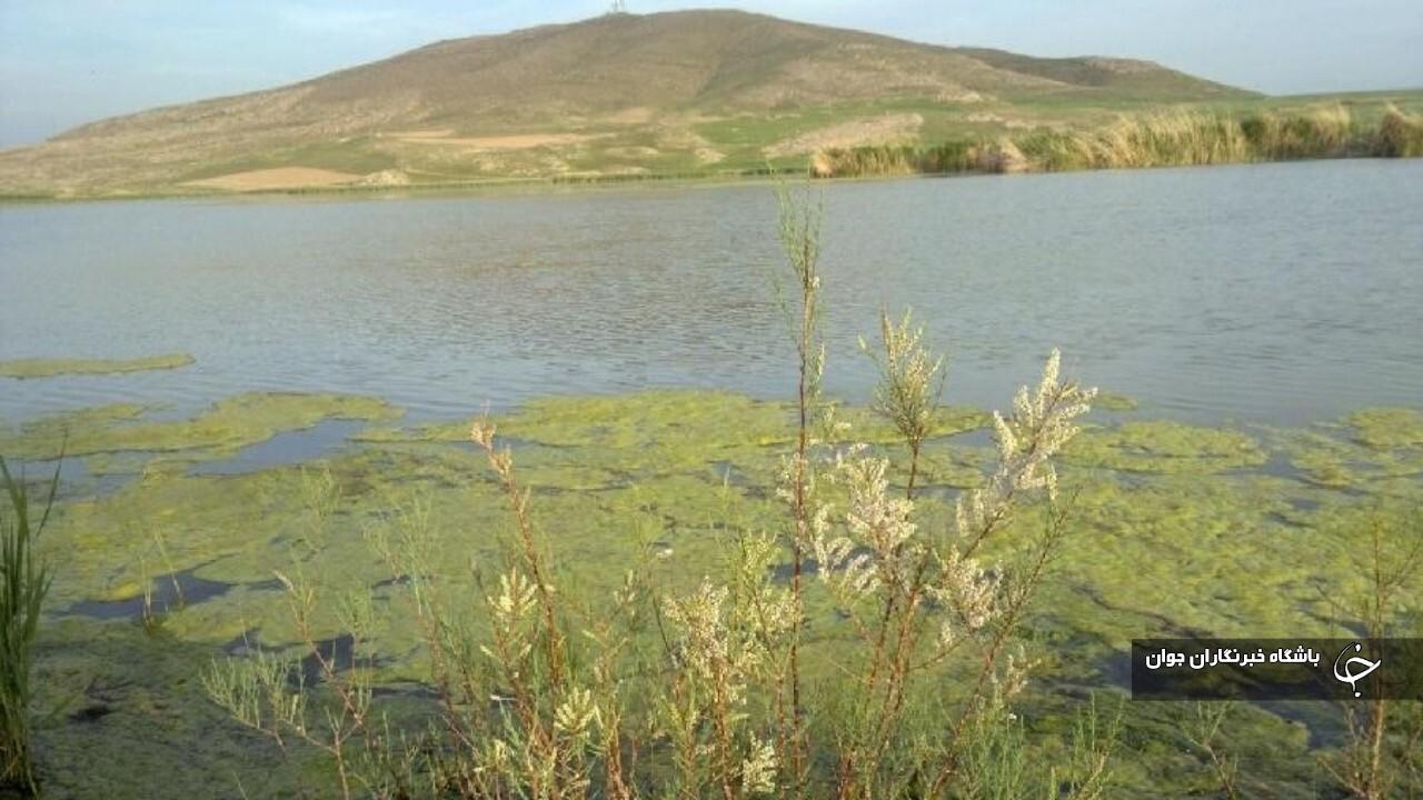 رهاسازی ۲۲۵ میلیون متر مکعب حق آبه محیط زیستی تالاب‌های آذربایجان‌غربی