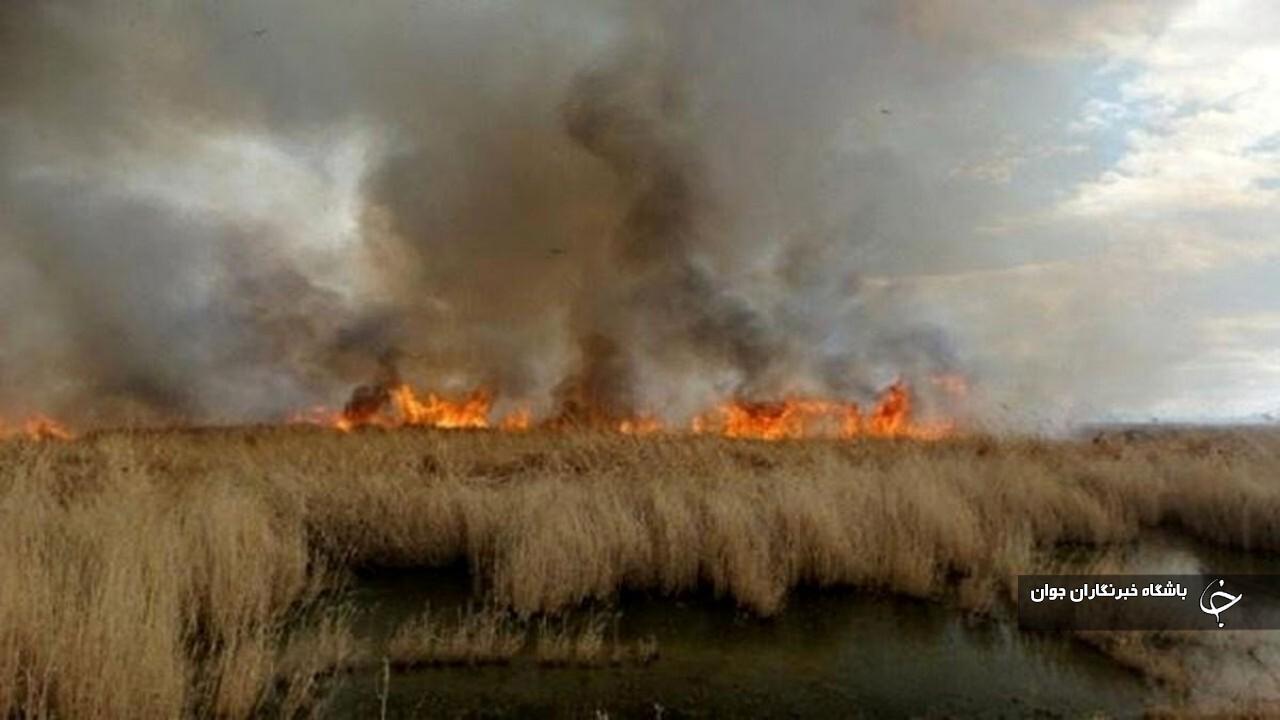 ۳ هکتار از نیزار‌های تالاب نوروزلوی میاندوآب در آتش سوخت
