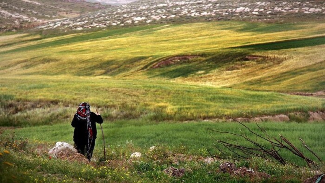 عضویت ۳ هزار روستایی و عشایر همدانی در صندوق بیمه اجتماعی 