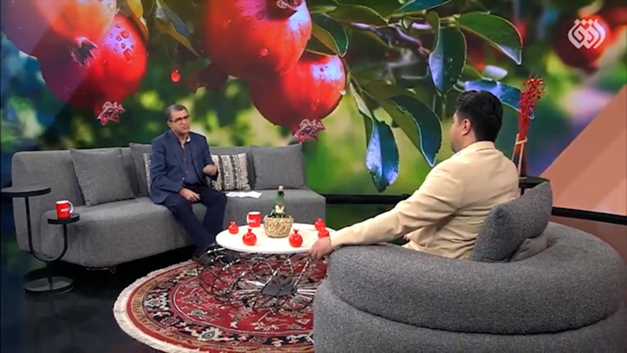 راهکار‌های طب سنتی برای درمان افسردگی + فیلم