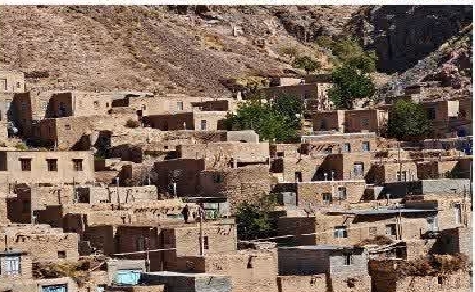 باغات زرشک روستای سردوان