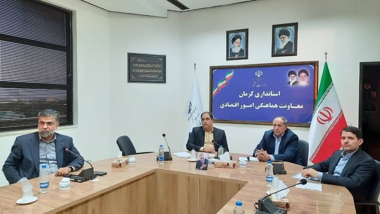 مجموعه‌های وزارت دفاع در کرمان سرمایه‌گذاری می‌کنند