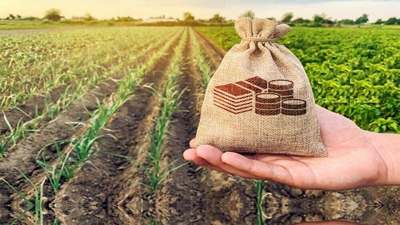 جزئیات پرداخت تسهیلات روستایی به تولید کنندگان روستا‌های قم