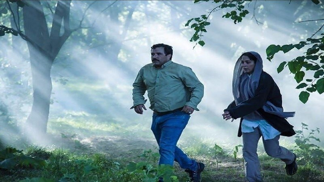 «در آغوش درخت» نماینده سینمای ایران در اسکار ۲۰۲۵ شد