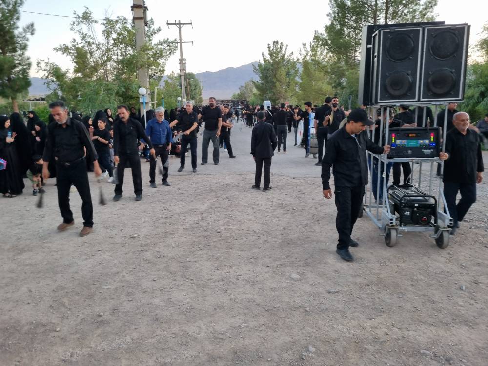 سی ریز زرند