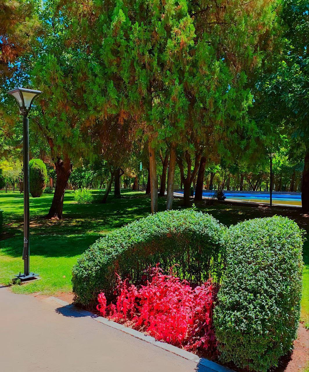 بوستان