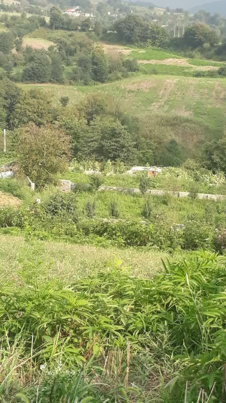طبیعت