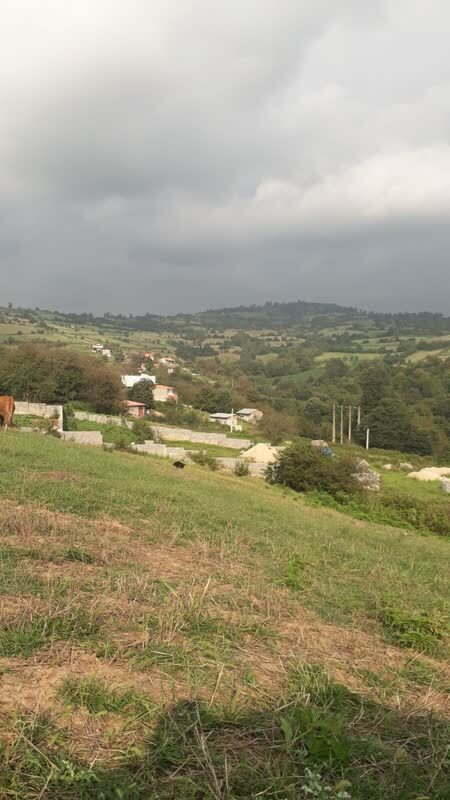 طبیعت تابستانی
