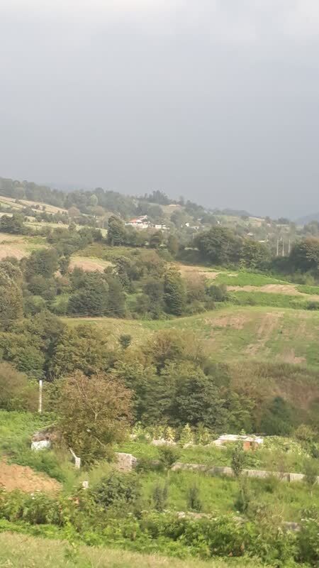 طبیعت سرسبز