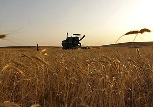 جو پرک مجوز صادرات گرفت