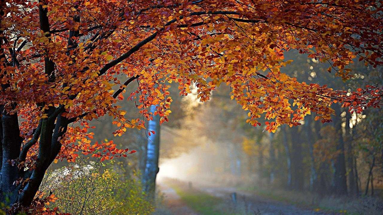 ادامه روند افزایش دمای هوا در استان سمنان
