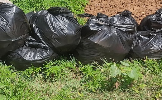 صدور حکم سبز قانون برای یک متخلف زیست&zwnj;محیطی در ماسال