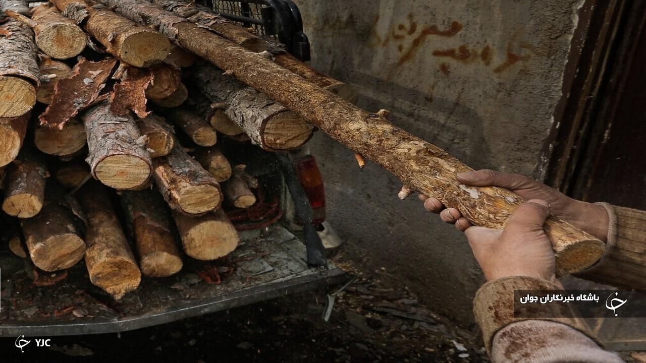 محموله قاچاق چوب جنگلی در سردشت کشف شد