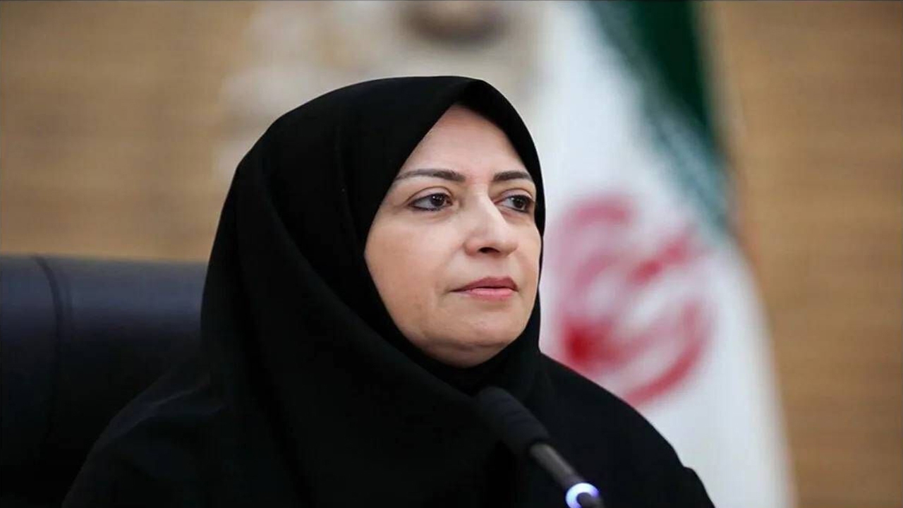 معاون رئیس جمهور: پژوهش‌های کاربردی دانشگاه‌ها به ارتقای حکمرانی محیط زیست کمک می‌کند