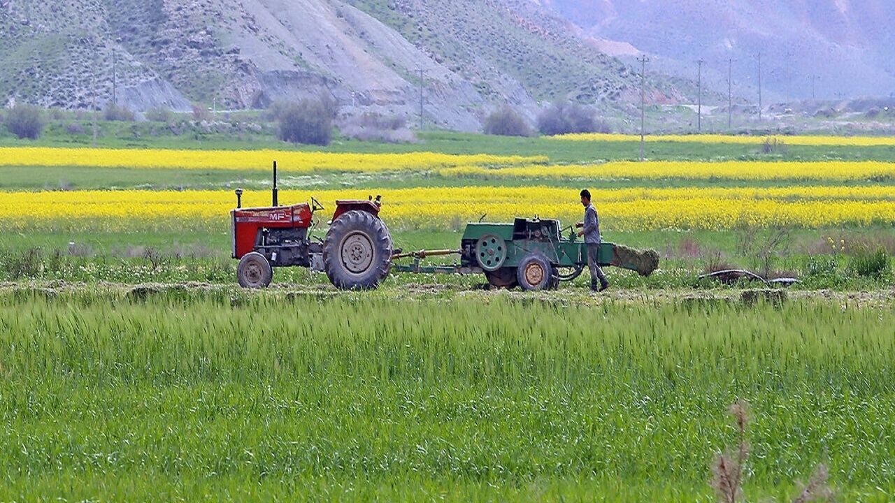 کشاورزی زنجان انحراف زیادی با الگوی کشت ندارد