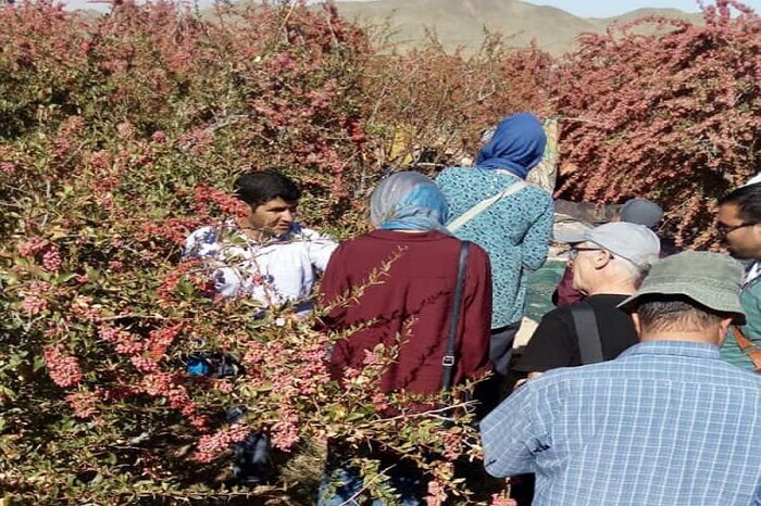 خراسان جنوبی میزبان گردشگران در پائیز هزار رنگ