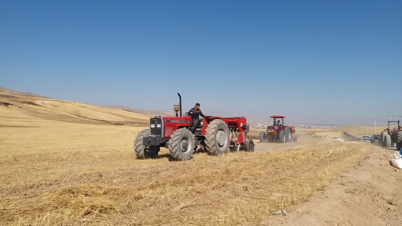 آغاز کشت پاییزه گندم در مزارع آذربایجان غربی
