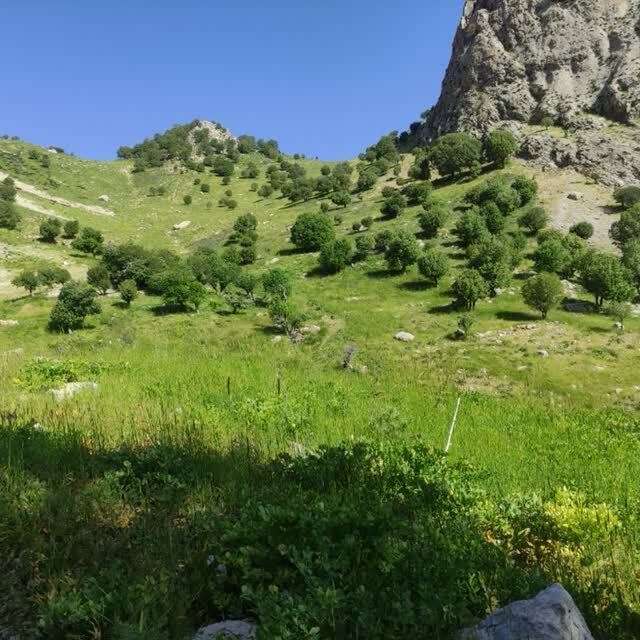 مناظر بکر و طبیعت سرسبز بروجرد