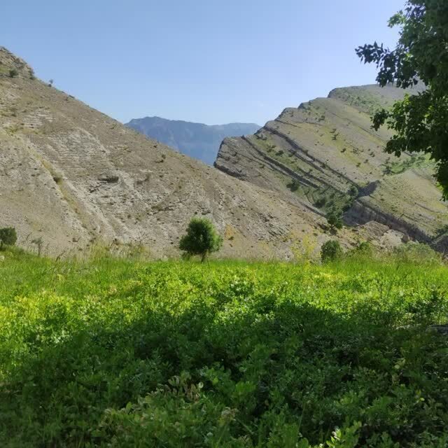 طبیعت سرسبز بروجرد