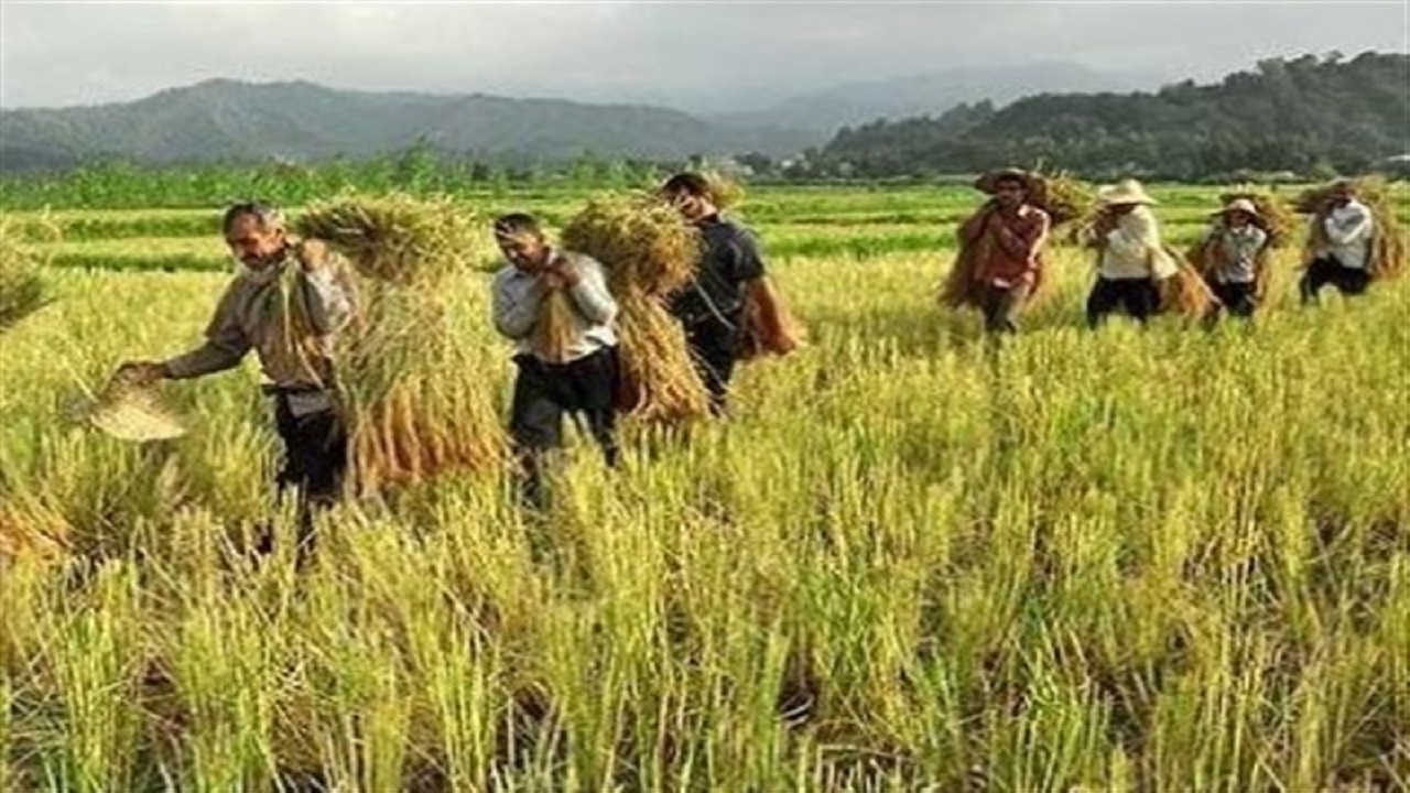 ثبت نصاب کمترین نرخ بیکاری در استان مرکزی