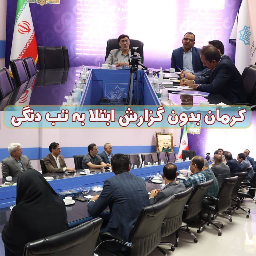 کرمان بدون گزارش ابتلا به تب دنگی