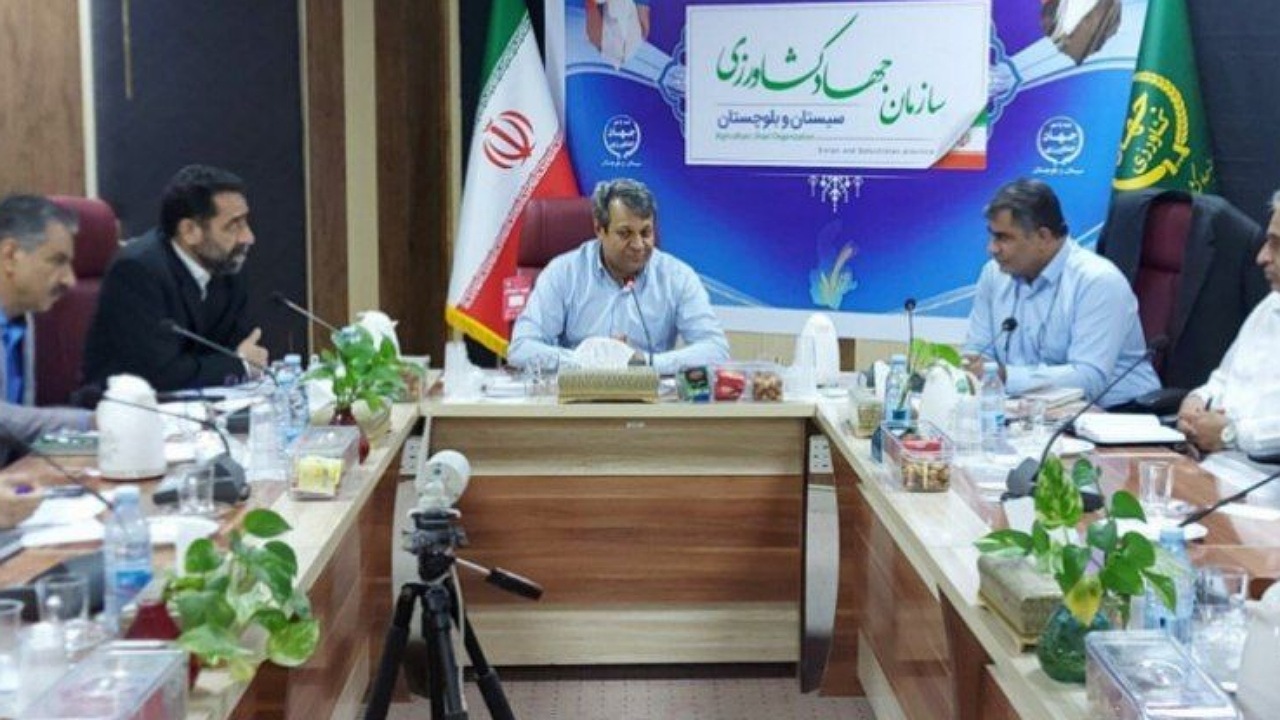 احداث ۱۶ واحد جدید پرورش مرغ تخمگذار در سیستان‌وبلوچستان