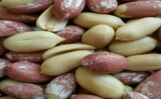 صدور ۲۱ فقره پروانه بهره&zwnj;برداری صنایع تبدیلی در گیلان
