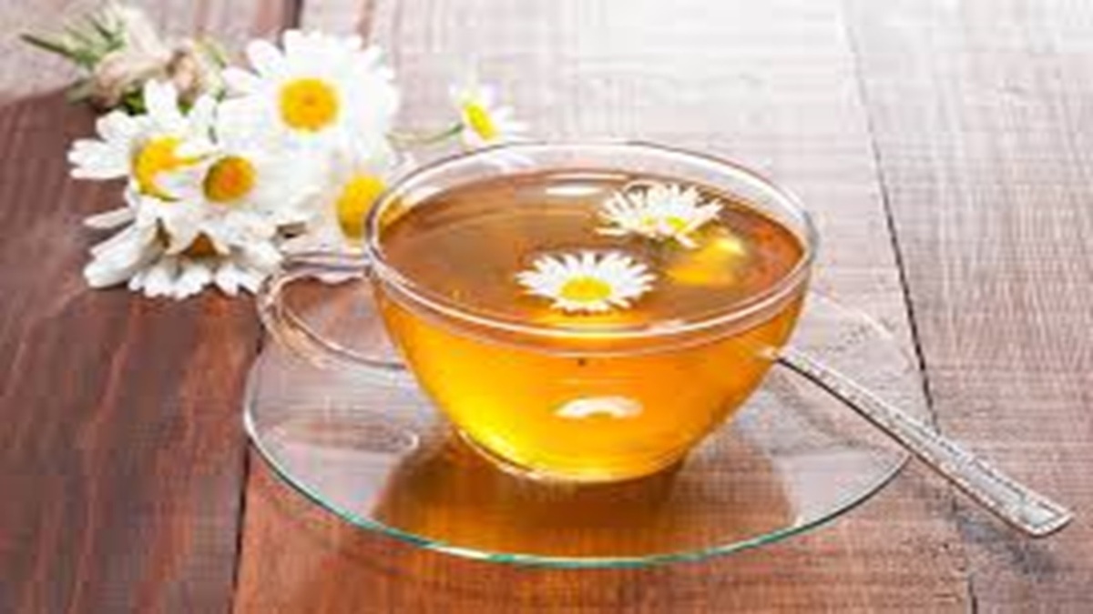 دلایل شایع زرد شدن برگ گیاهان + فیلم