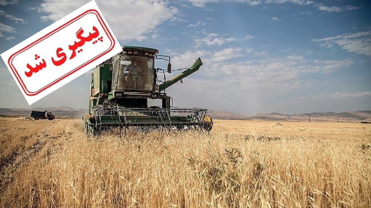 ۴۴ همت از مطالبات گندمکاران باقی مانده است
