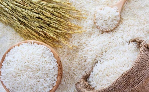 روایتی از دغدغه&zwnj;های برنجکاران گیلانی