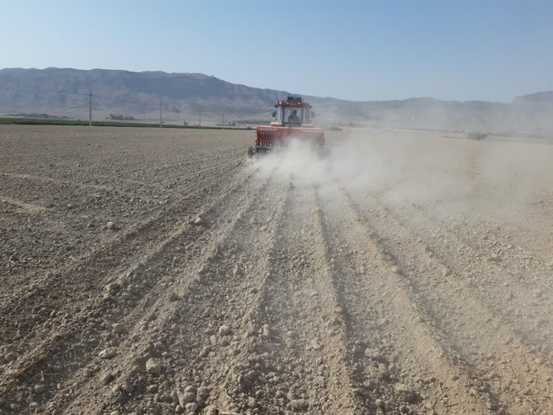 کشت جو