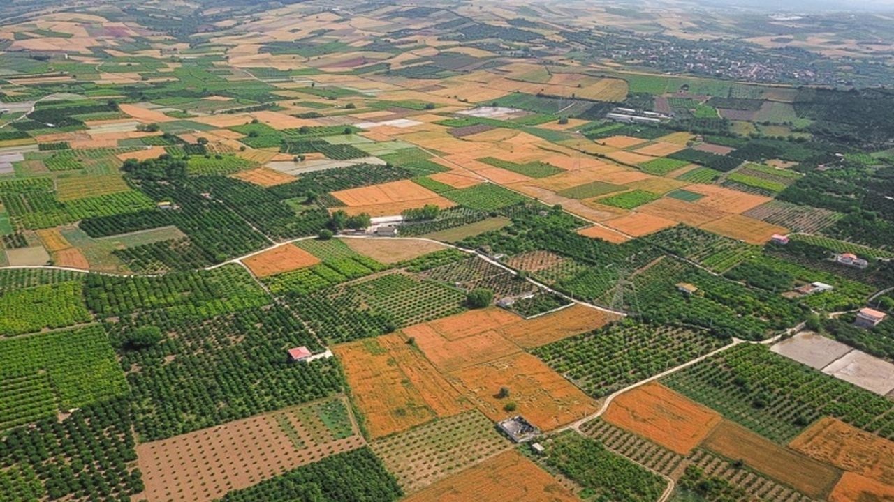 دادگستری گلستان مانع از دست‌اندازی به ۹۰ هزار متر از اراضی دولتی در جنگل توسکستان شد