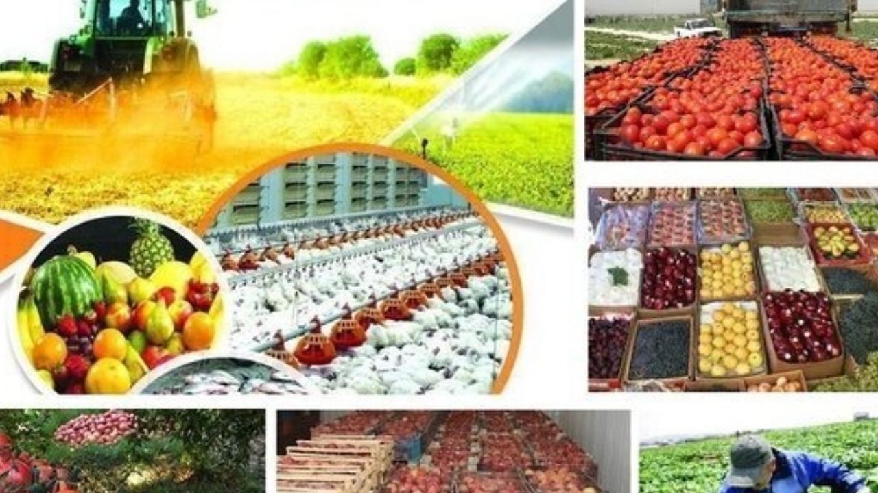 پرداخت تسهیلات به شبکه تعاونی برای خرید توافقی محصولات کشاورزی