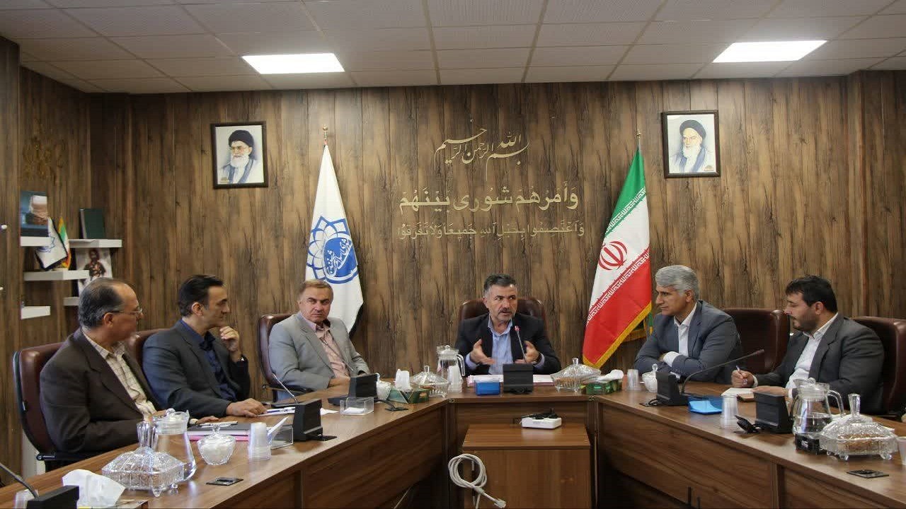باید از انتقال بی‌رویه سگ‌های ولگرد به داخل شهر جلوگیری شود