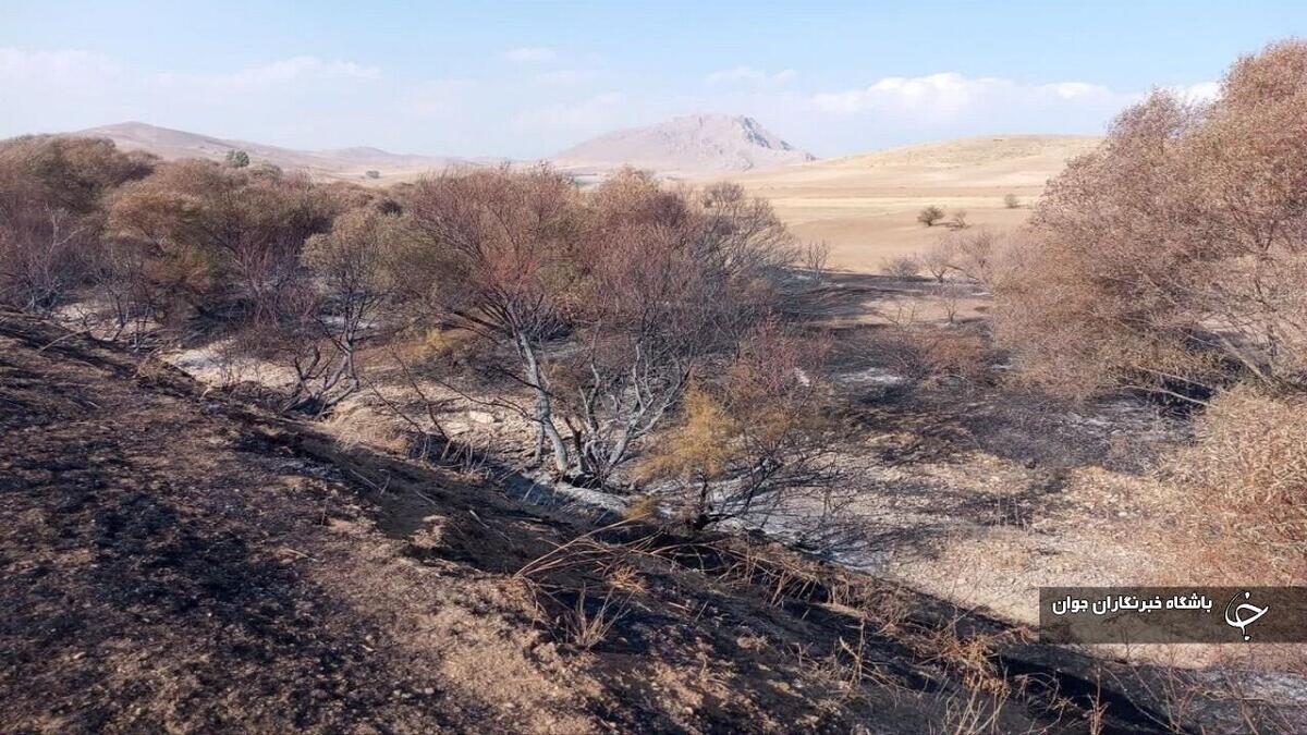 باشگاه خبرنگاران -سهل‌انگاری کشاورز بوکانی ۵ هکتار مرتع را طعمه حریق کرد