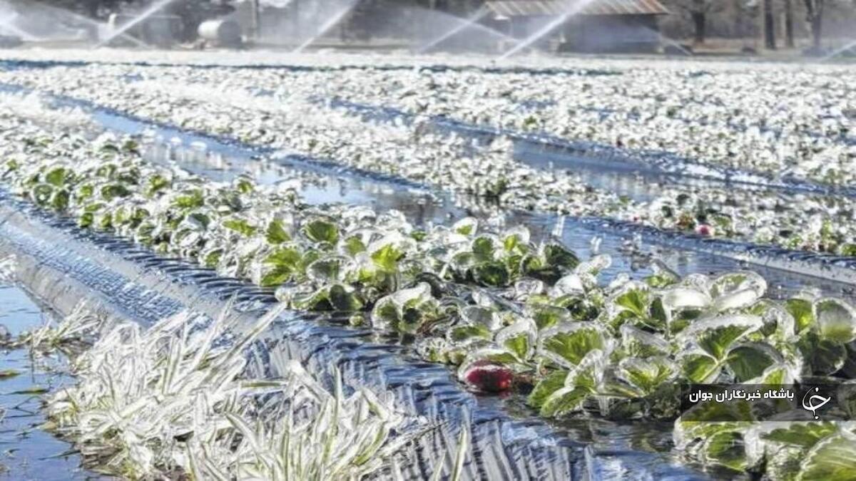 باشگاه خبرنگاران -توده هوای سرد از شنبه وارد آذربایجان‌غربی می‌شود