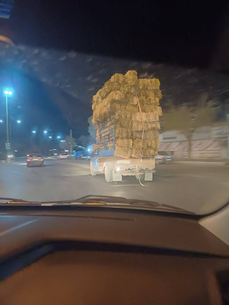 حمل بار عجیب توسط ولنت بارها