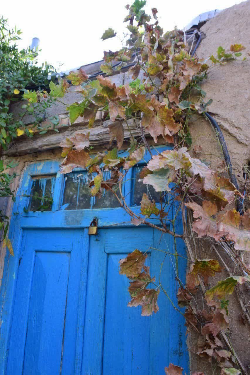 طبیعت پاییزی روستای نرگ