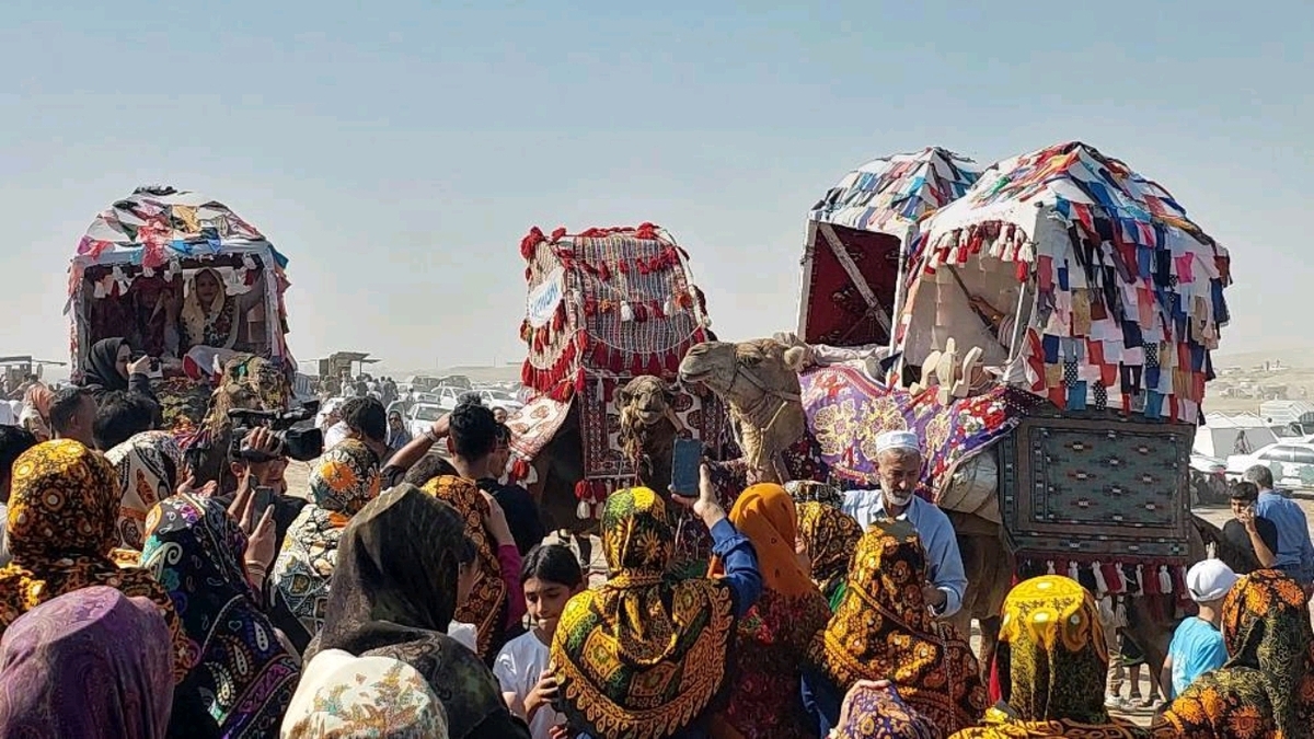 رسم عجیب عروسی بندرعباسی + فیلم