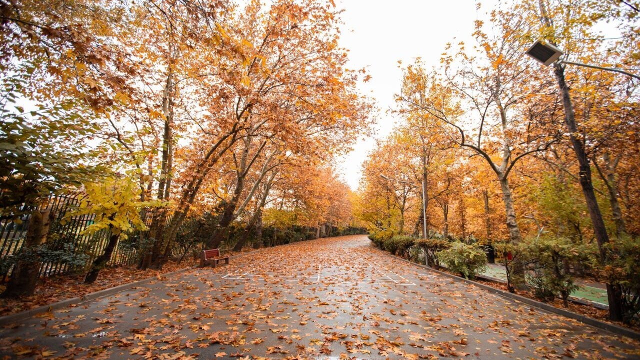 یخبندان کردستان را فرا می‌گیرد