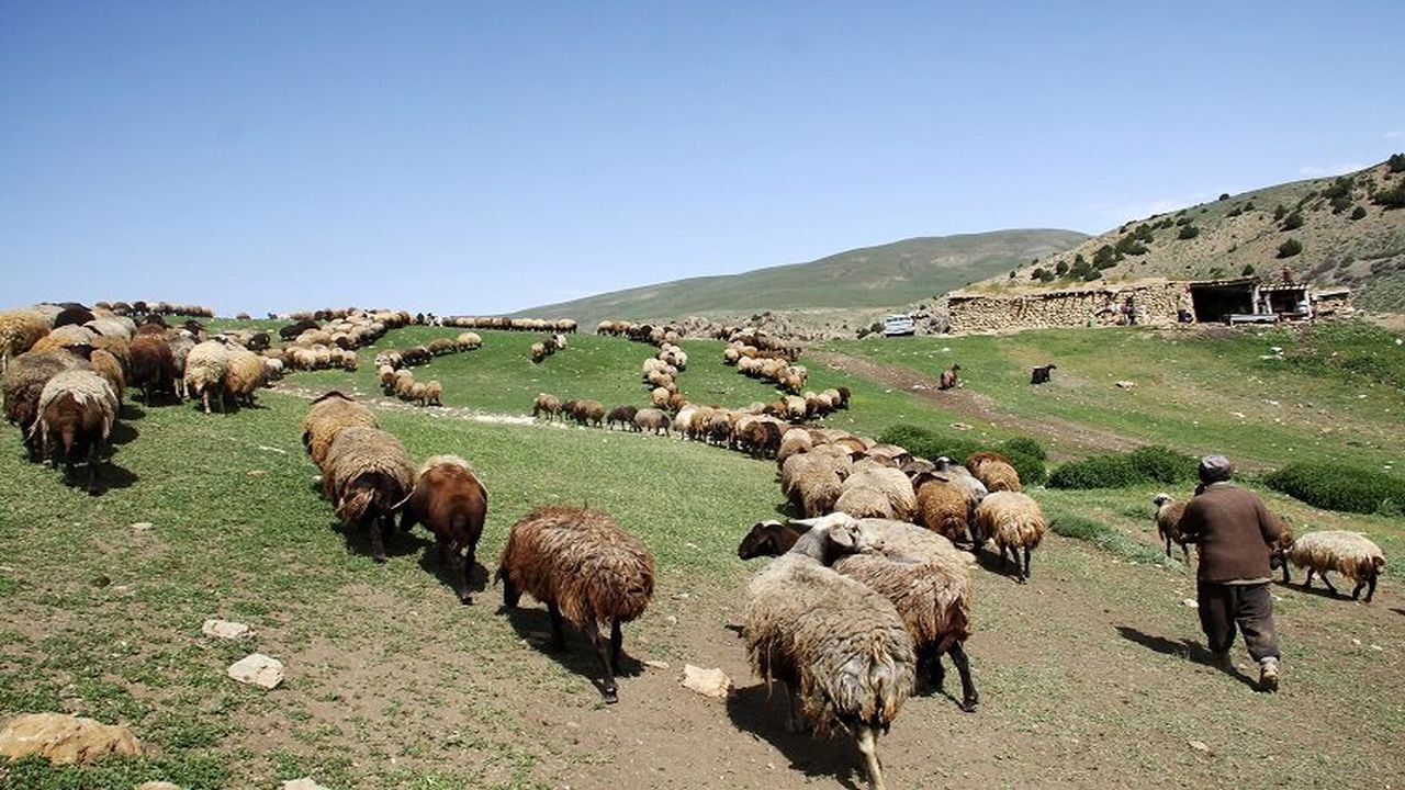 پرداخت بیش از ۱.۶ هزار میلیارد ریال از مالیات به روستاها و عشایر سمنان