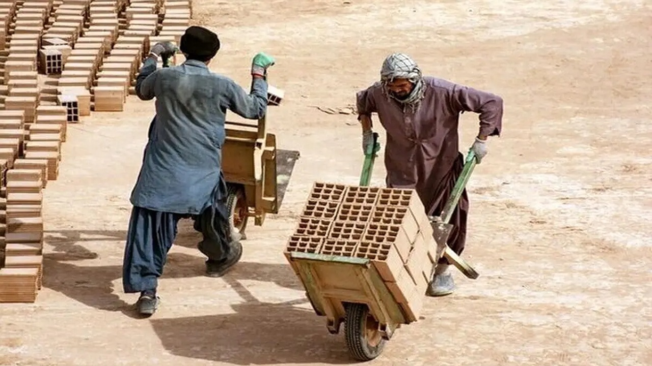 ۳۱۵ شاغل خارجی غیر مجاز در سیستان و بلوچستان شناسایی شد