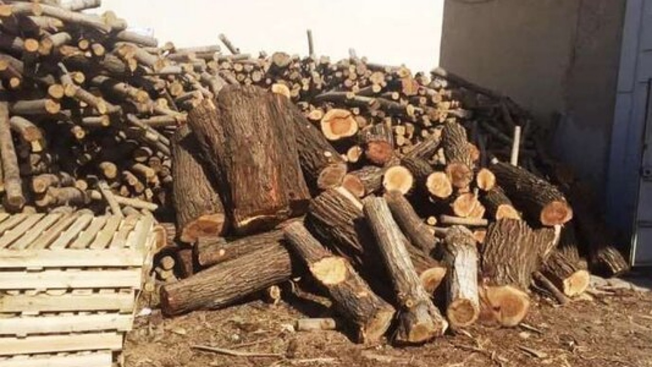 کشف چوب قاچاق در شهرستان اردل
