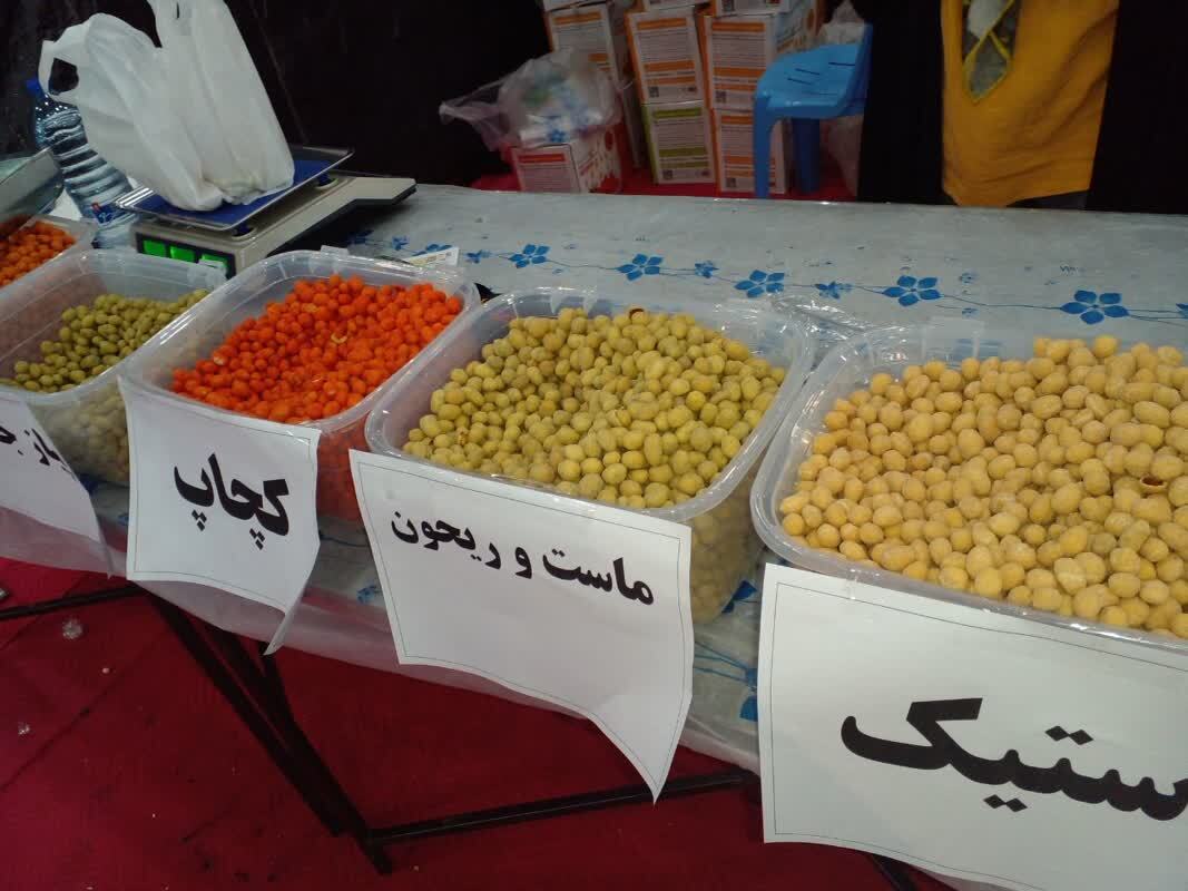 برپایی نمایشگاه در لارستان