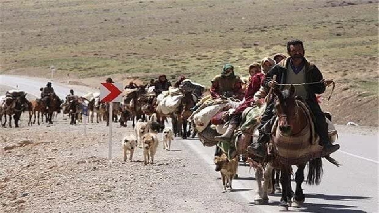 توزیع ۱۷ هزار تن نهادۀ دامی مدت دار بین عشایر لرستان