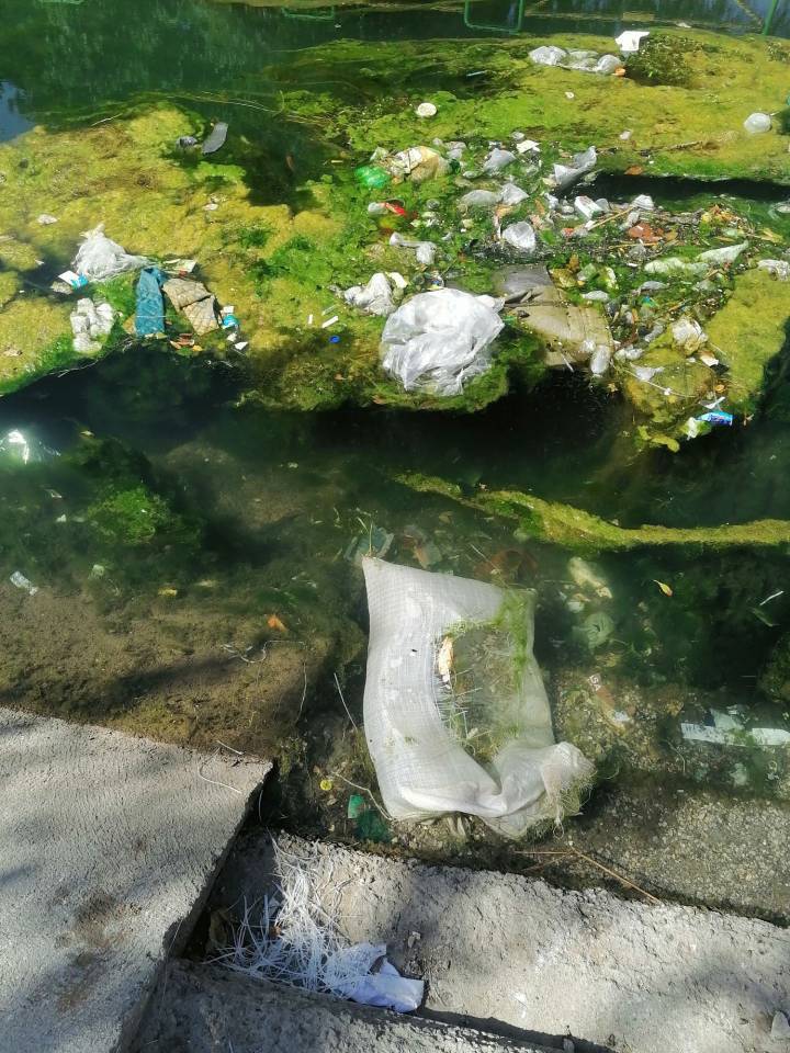 ریختن زباله در رودخانه